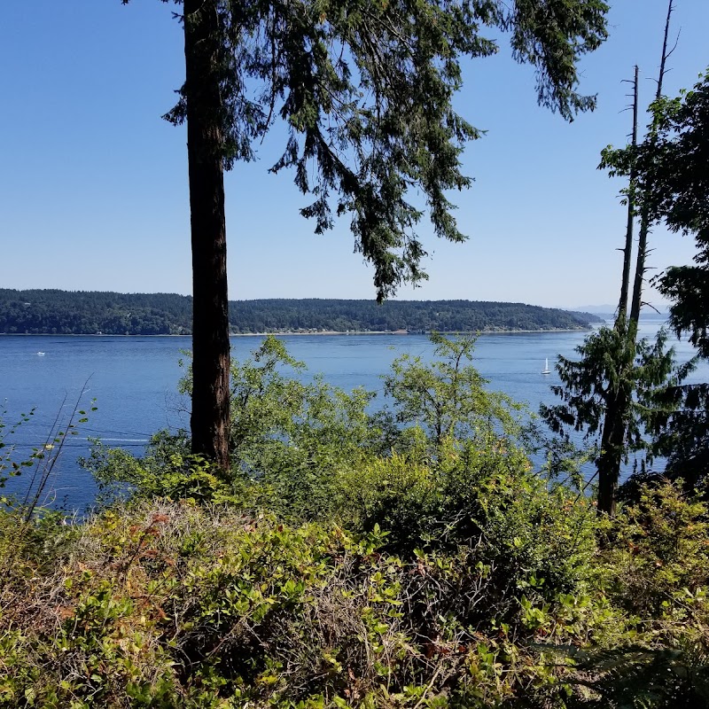 Vashon Viewpoint