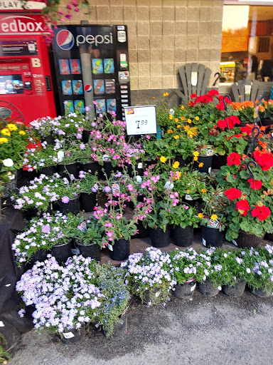 Supermarket «Price Chopper», reviews and photos, 53 Finney Blvd, Malone, NY 12953, USA