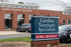 Carolina Veterinary Specialists image