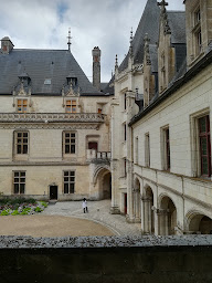 Photo n°38 de La Tête Noire à Montrichard Val de Cher ()