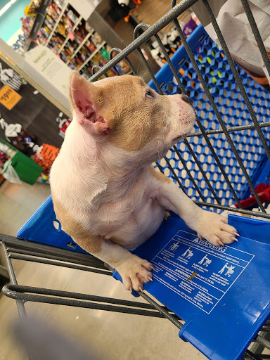 Pet Supply Store «PetSmart», reviews and photos, 19075 Interstate 45 S, Shenandoah, TX 77385, USA