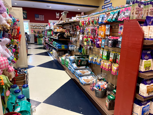 Florist «Petals & Paws», reviews and photos, 465 Albany Turnpike, Canton, CT 06019, USA