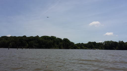 Tourist Attraction «Mallows Bay», reviews and photos, 1440 Wilson Landing Rd, Nanjemoy, MD 20662, USA