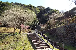 Kamashi Bairin Park image