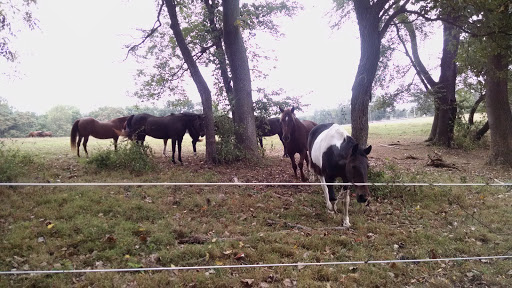 National Park «First State National Historical Park - Peters Rock Parking», reviews and photos, Thompsons Bridge Rd, Wilmington, DE 19803, USA
