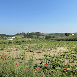 Photo n°3 de l'avis de Oleksandr.a fait le 24/05/2023 à 13:46 sur le  Agriturismo Sori San Giovanni à Isola d'Asti