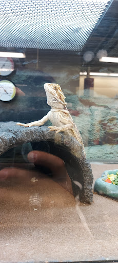 Pet Supply Store «Petco Animal Supplies», reviews and photos, 4030 N MacArthur Blvd #200, Irving, TX 75038, USA