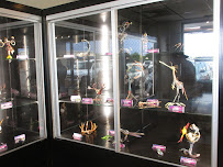 Starphyre Studios - Photo 6 - Car repair in Pueblo, CO, Pueblo