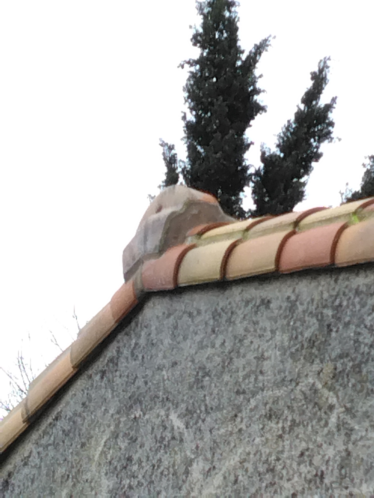 Photo n° 4 de l'avis de Aymeric.r fait le 20/03/2023 à 19:23