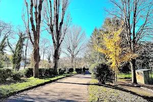 Parco del Galluzzo - I Giardini image