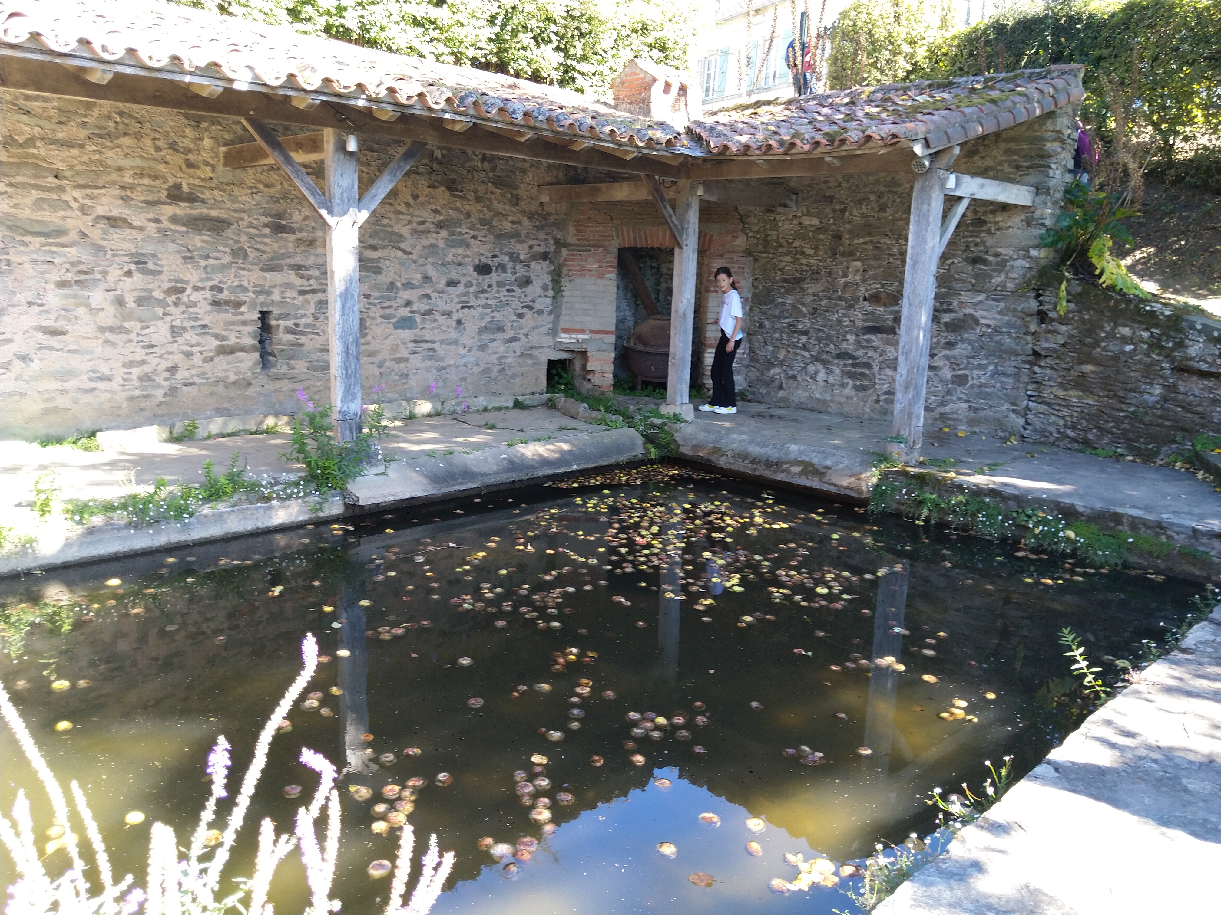 Photo n° 4 de l'avis de laurent.a fait le 13/08/2022 à 18:14