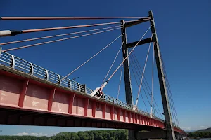 Puente La Amistad image