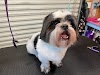 Gailsgrooming Logo, Palacios, United States, Pet Groomer