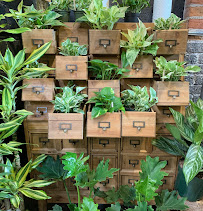 ReRoot - Photo 3 - Car repair in Denver, CO, Denver