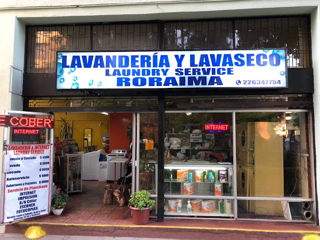 Lavanderia y Lavaseco Roraima - Lavandería