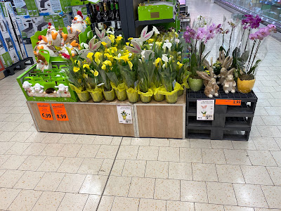 Lidl à Vert-Saint-Denis