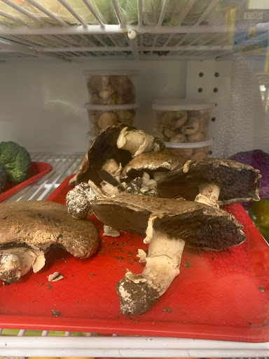 Italian Grocery Store «Roccoroma», reviews and photos, 99 Railroad Ave, Goshen, NY 10924, USA