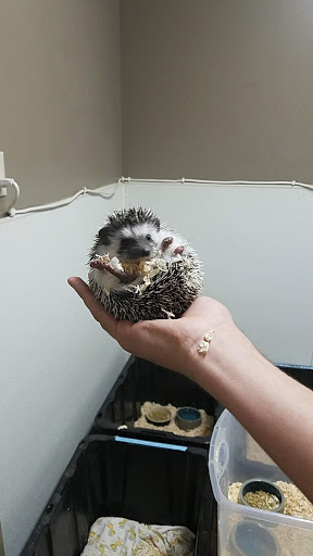 Pet Store «Wildside Pets», reviews and photos, 1042 N Higley Rd #105, Mesa, AZ 85205, USA