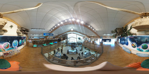 Museum «Creation Evidence Museum», reviews and photos, 3102 FM 205, Glen Rose, TX 76043, USA