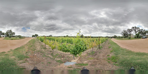 Tourist Attraction «The Bella Vista Ranch / First Texas Olive Oil Co.», reviews and photos, 3101 Mt Sharp Rd, Wimberley, TX 78676, USA