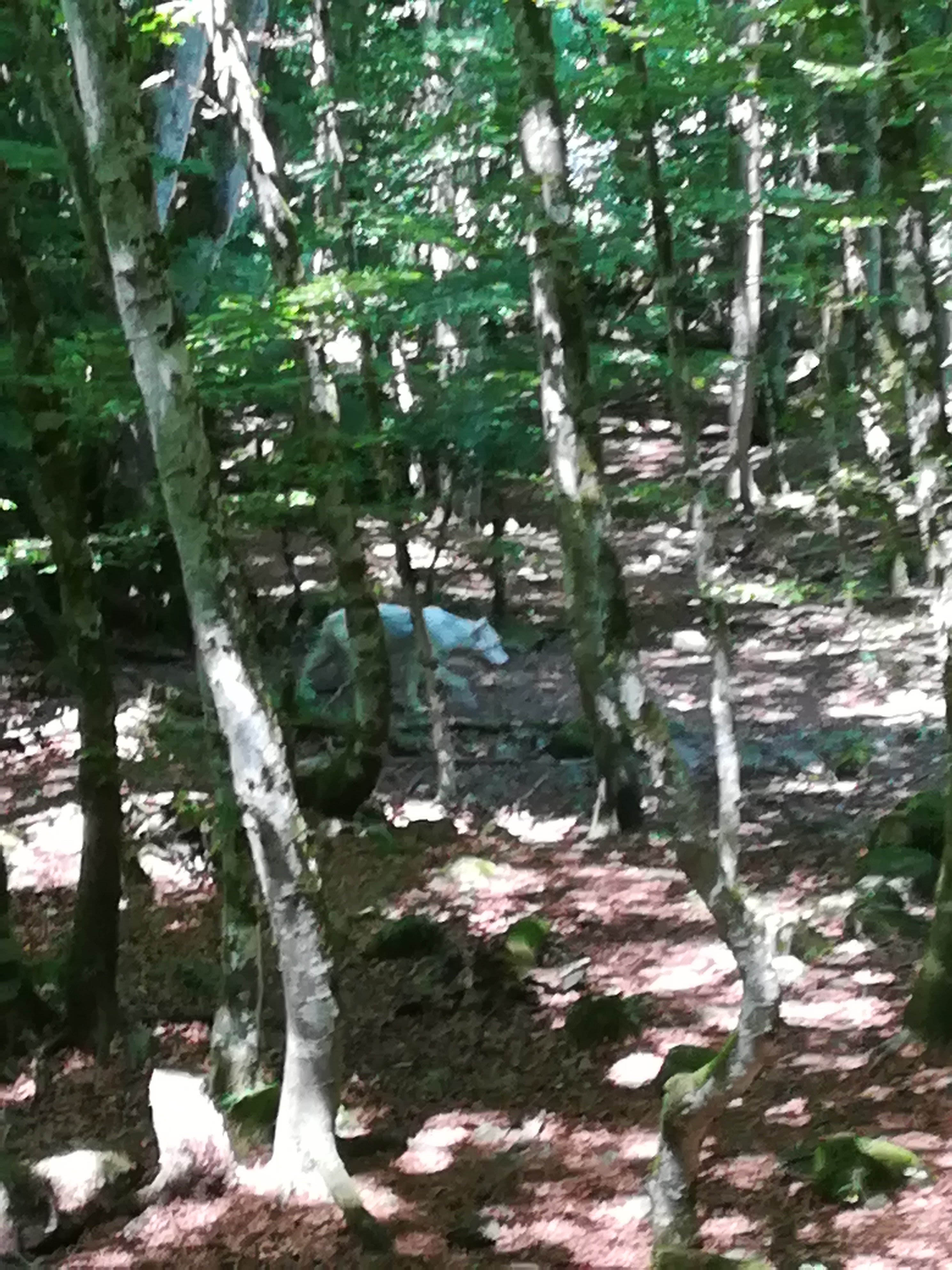 Photo n° 44 de l'avis de Audrey.� fait le 28/07/2017 à 17:11