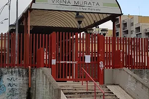 Mercato Vigna Murata image