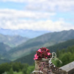 Photo n°6 de l'avis de aTuttaVita.a fait le 13/06/2018 à 08:02 sur le  Rifugio Colle del Lys (001313-RIE-00001) à Viù