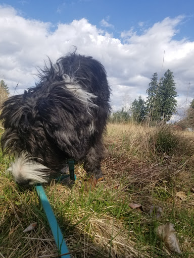 Park «Meridian Habitat Park & Community Center», reviews and photos, 14422 Meridian E, Puyallup, WA 98375, USA