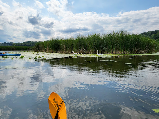 Canoe & Kayak Store «BayCreek Paddling Center, Inc.», reviews and photos, 1099 Empire Blvd, Rochester, NY 14609, USA
