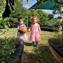 Guidepost Montessori at Flower Mound - Photo 9 - Car repair in Flower Mound, TX, Lewisville