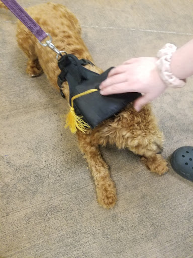 Pet Supply Store «PetSmart», reviews and photos, 2160 Jericho Turnpike, Commack, NY 11725, USA