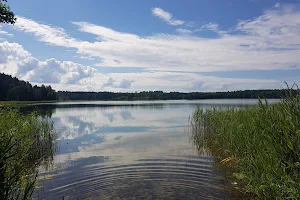 Lake Asveja image