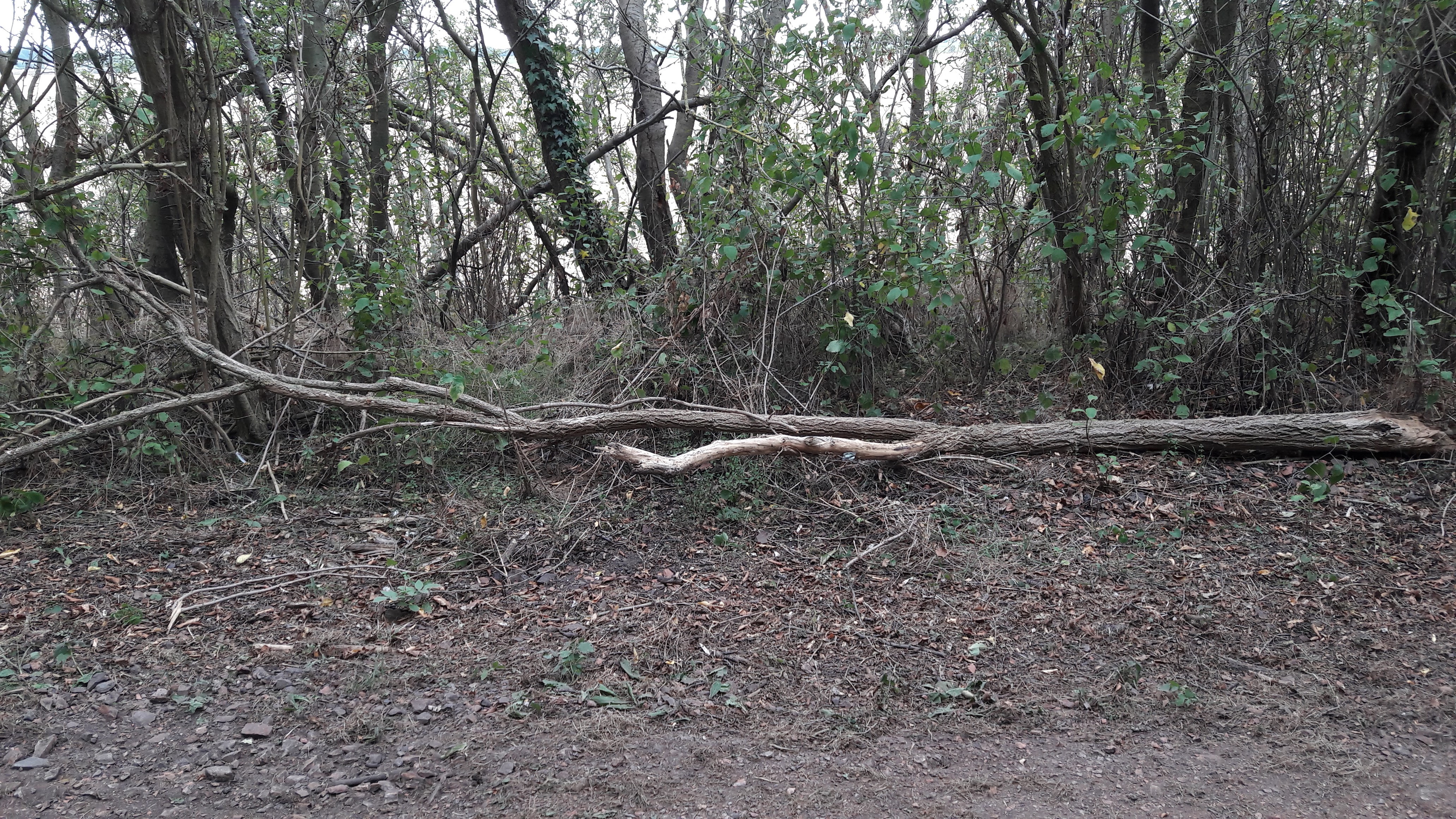 Photo n° 17 de l'avis de Alfa.l fait le 12/09/2019 à 04:09