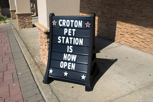 Pet Supply Store «Croton Pet Station», reviews and photos, 420 S Riverside Ave, Croton-On-Hudson, NY 10520, USA