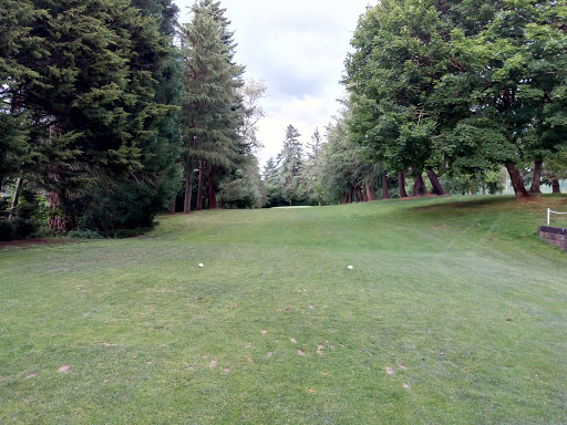 Public Golf Course «Lake Oswego Public Golf Course», reviews and photos, 17525 SW Stafford Rd, Lake Oswego, OR 97034, USA