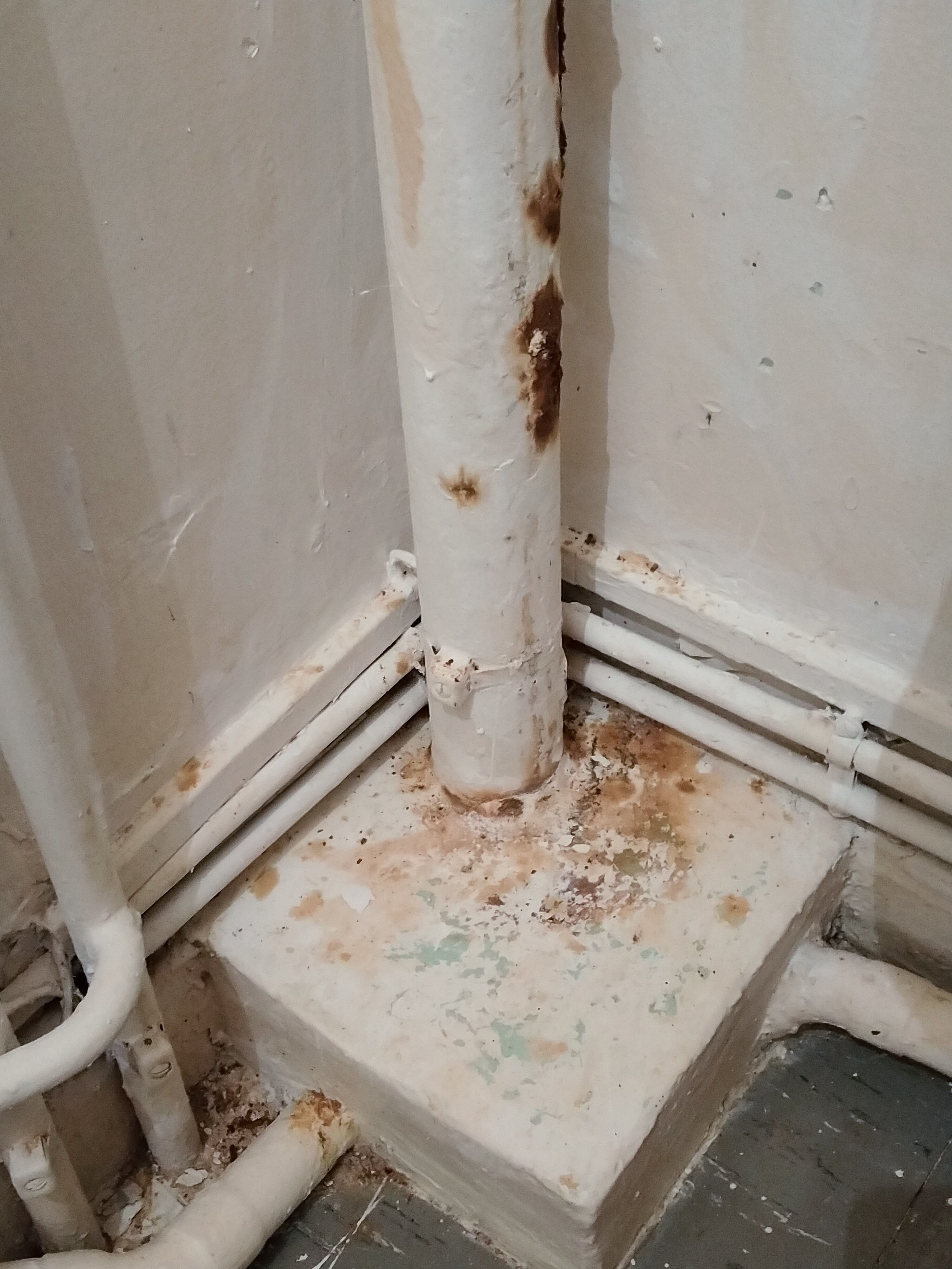 Photo n° 1 de l'avis de Rachide.a fait le 09/12/2021 à 12:24