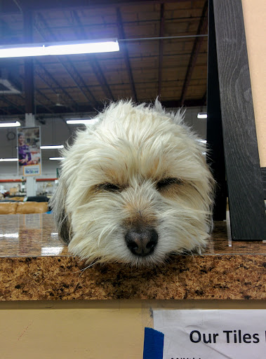 Social Services Organization «Habitat For Humanity of New Castle County Restore», reviews and photos