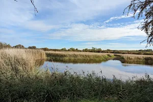 Far Ings National Nature Reserve image
