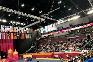 National Gymnastics Arena image