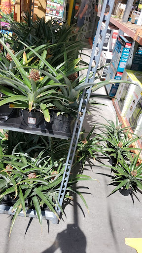 Home Improvement Store «The Home Depot», reviews and photos, 4925 E Carefree Hwy, Cave Creek, AZ 85331, USA