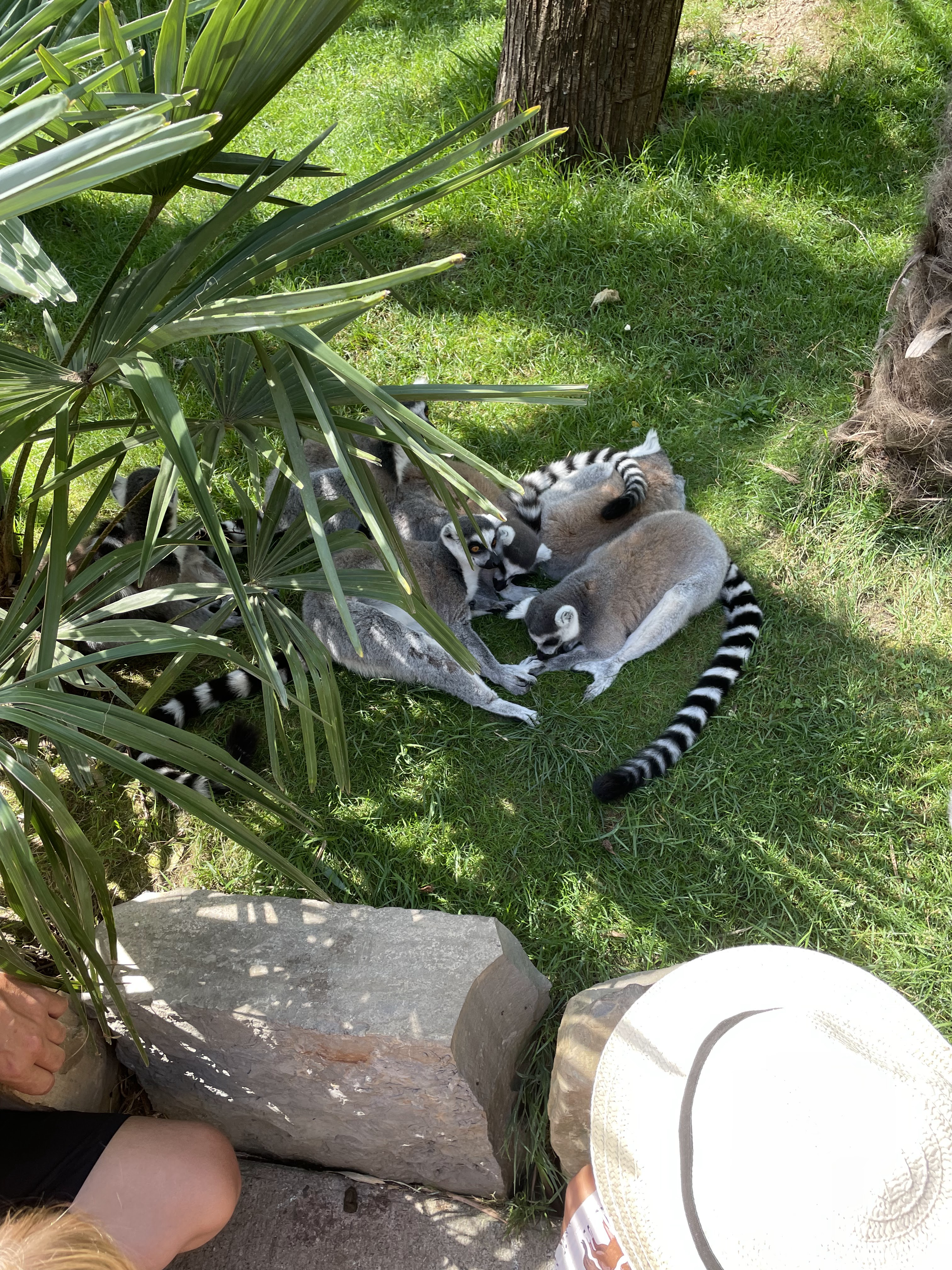 Photo n° 3 de l'avis de La.i fait le 25/08/2022 à 14:34