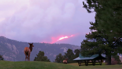 Golf Course «Estes Park Golf Course», reviews and photos, 1480 Golf Course Rd, Estes Park, CO 80517, USA