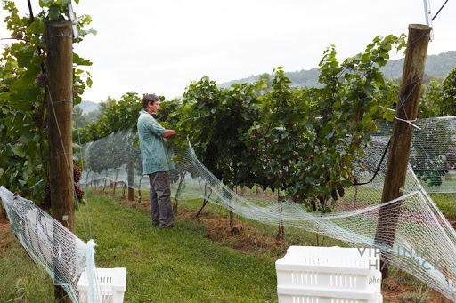 Winery «Glass House Winery», reviews and photos, 5898 Free Union Rd, Free Union, VA 22940, USA