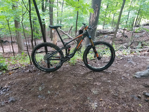 Bicycle Store «Tonys Bicycles», reviews and photos, 35-01 23rd Ave, Astoria, NY 11105, USA