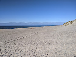 Zdjęcie Bjerregard Beach obszar udogodnień