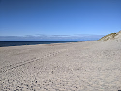 Bjerregard Beach'in fotoğrafı ve yerleşim