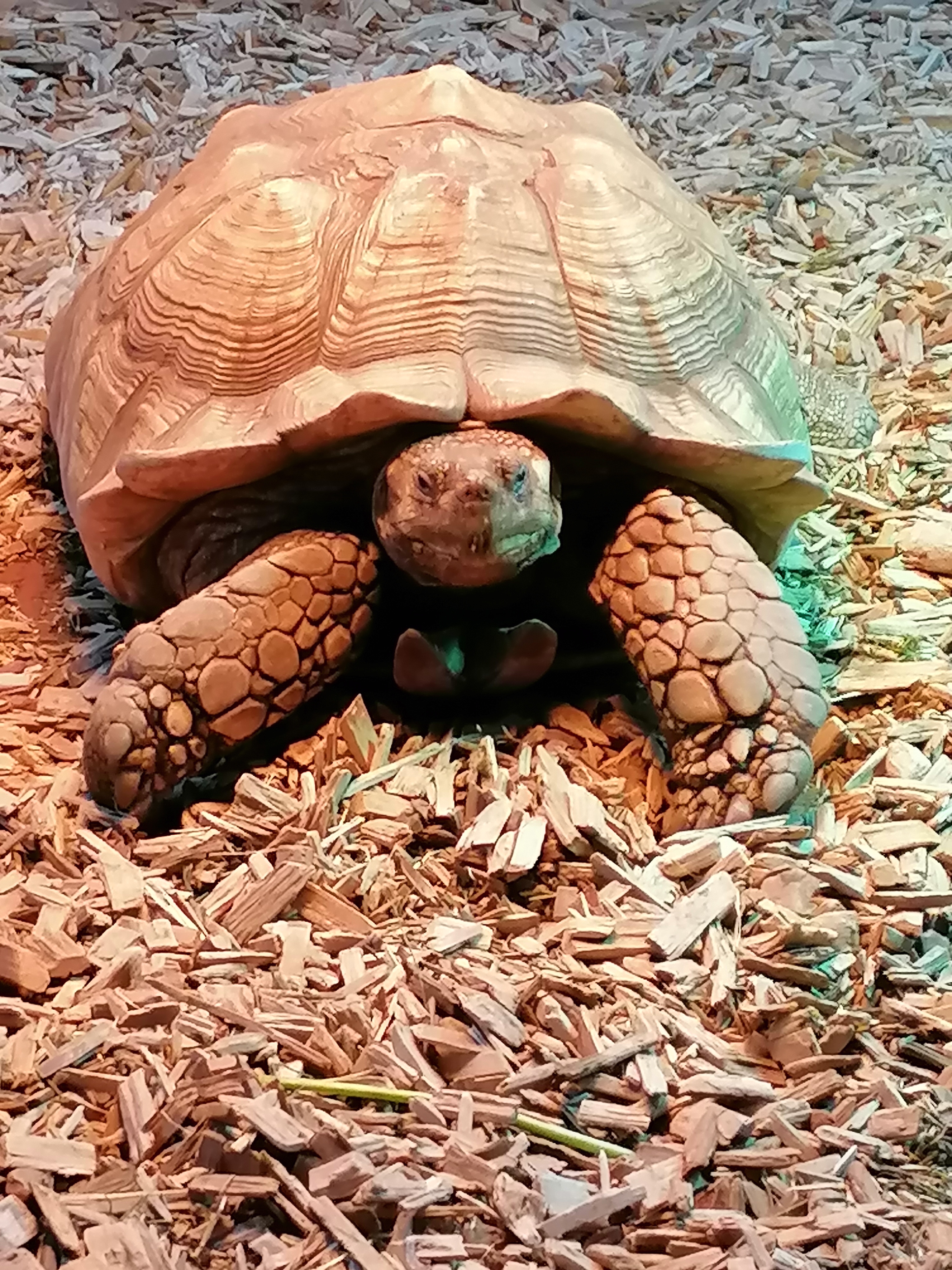 Photo n° 5 de l'avis de Eva.O fait le 24/04/2022 à 13:20