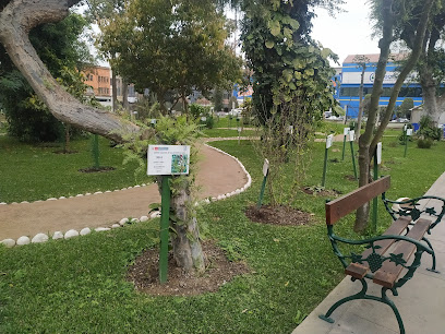 Jardín Botánico de Plantas Medicinales