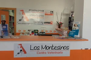 Centro Veterinario Los Montesinos | Fisioterapia y Rehabilitación Animal | Neurología image