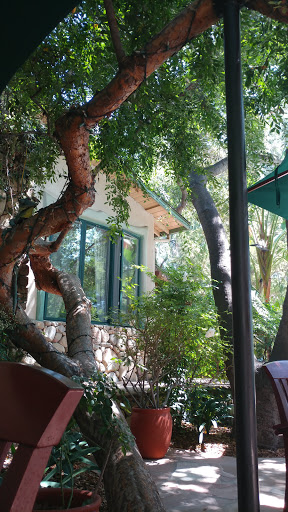 Emerald Iguana Inn image